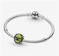 Montebelluna - Via Dante Alighieri, 1 - Charm Pandora Donna in Argento 799309C02 - 799309C02